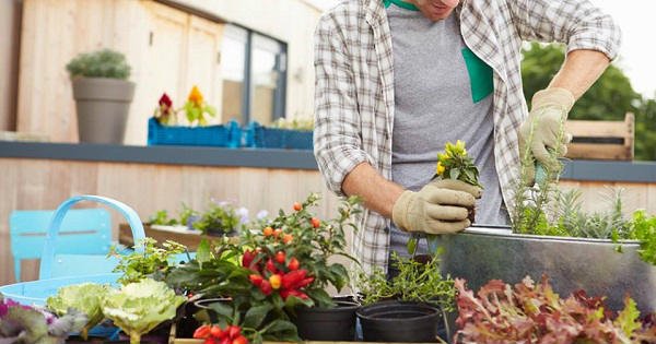 Jardinería y salud